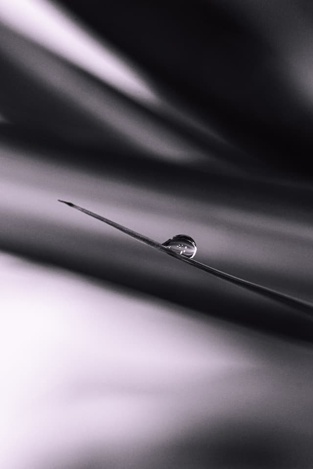 grayscale photo of person running in panel paintings