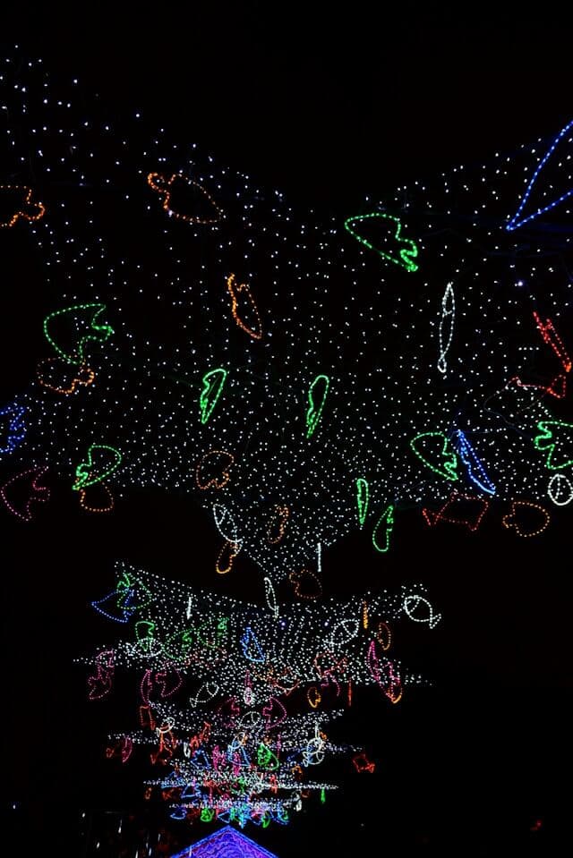 blue and white flower petals