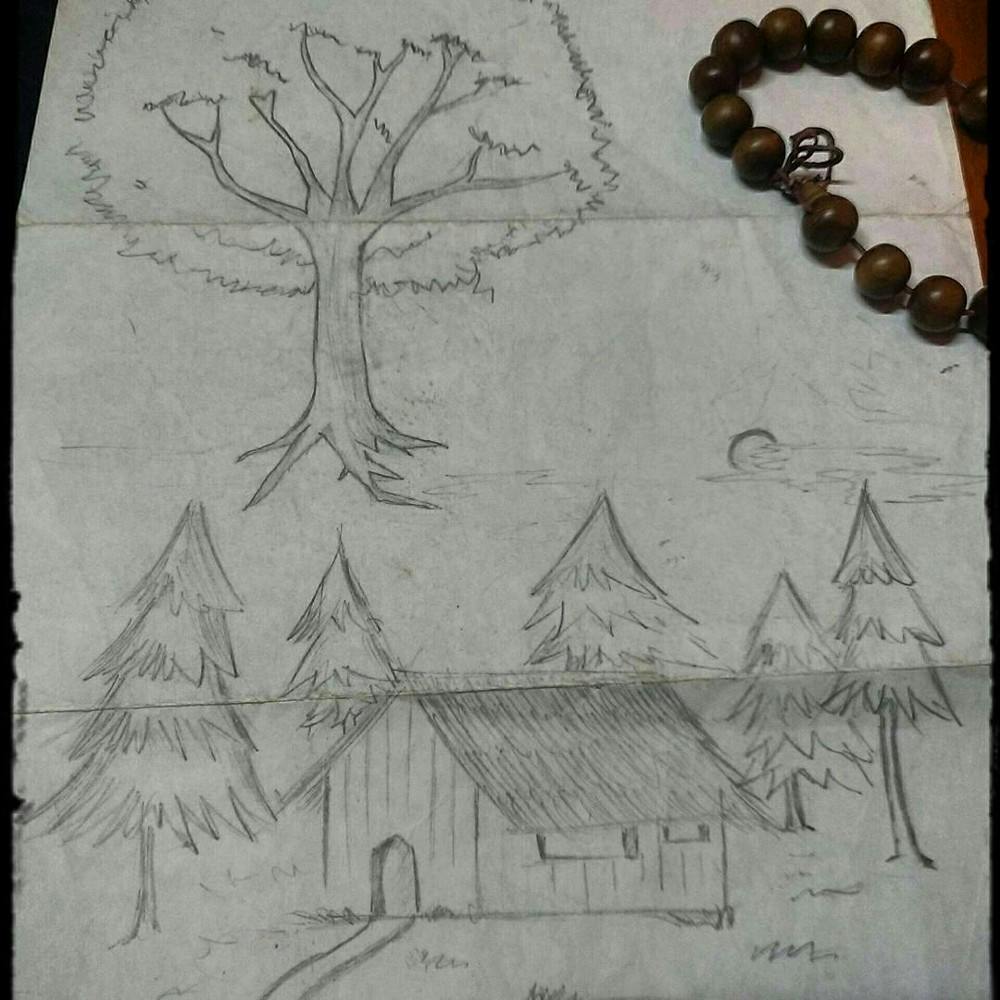 A tree on the top and a house on the bottom cover by trees